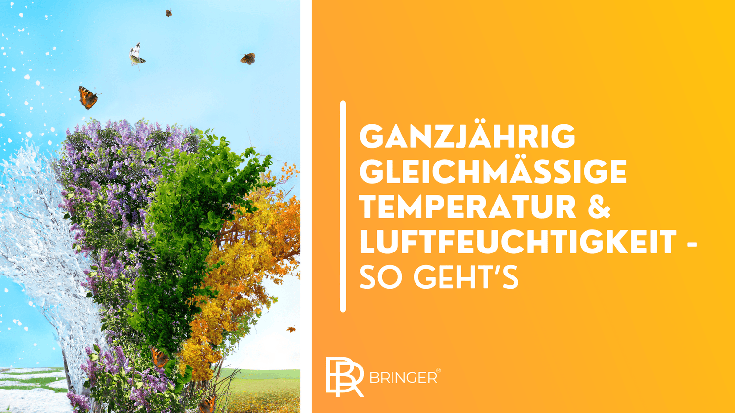 Ganzjährig gleichmäßige Temperatur & Luftfeuchtigkeit - So geht’s - Bringer-Germany