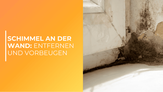 Schimmel an der Wand entfernen und vorbeugen: Tipps & Tricks - Bringer-Germany