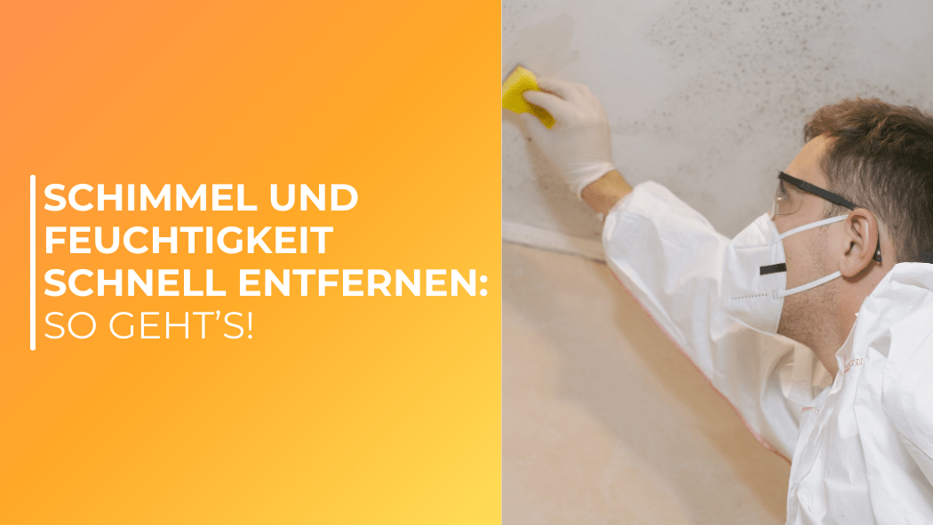 Schimmel und Feuchtigkeit schnell entfernen: So geht’s! - Bringer-Germany