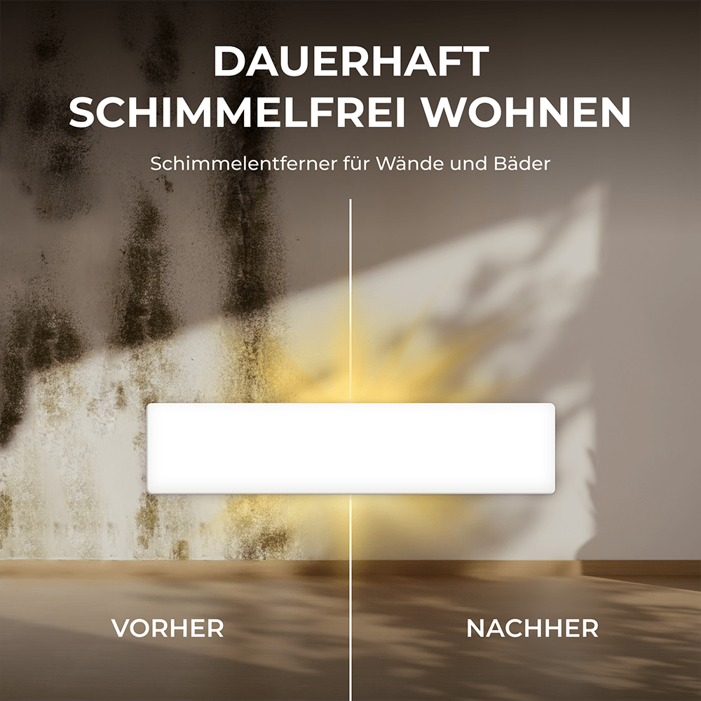 SchimmelSchreck - Schimmelentferner für Wand & Bad - Bringer - Germany -