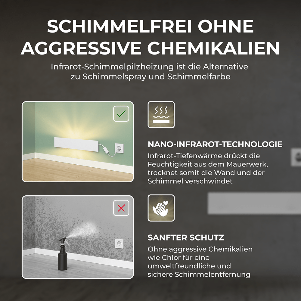 SchimmelSchreck - Schimmelentferner für Wand & Bad - Bringer - Germany -